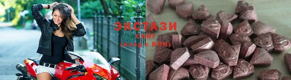 стаф Заводоуковск