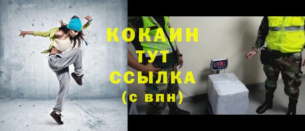 стаф Заводоуковск