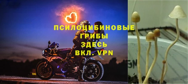 стаф Заводоуковск