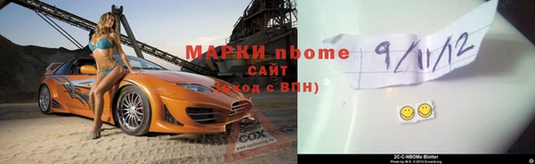 стаф Заводоуковск