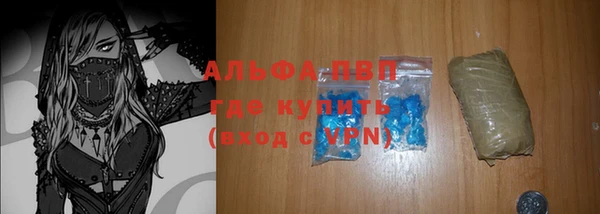 стаф Заводоуковск