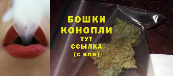стаф Заводоуковск