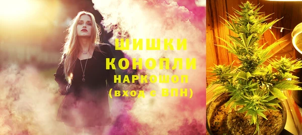 стаф Заводоуковск