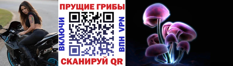 Галлюциногенные грибы ЛСД  Купить  Пудож 